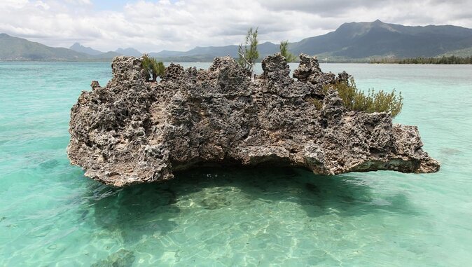 WEST Shared Cruise: OCEAN Full Day Catamaran Ile Aux Bénitiers - Good To Know