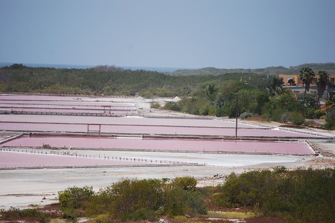 West Side Experience Puerto Rico Day Tour - Tour Overview and Highlights