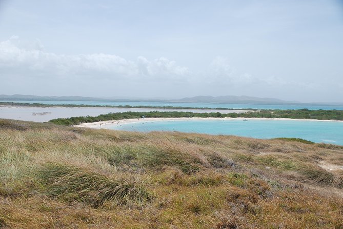 West Side Experience Puerto Rico Day Tour - Critiques and Suggestions