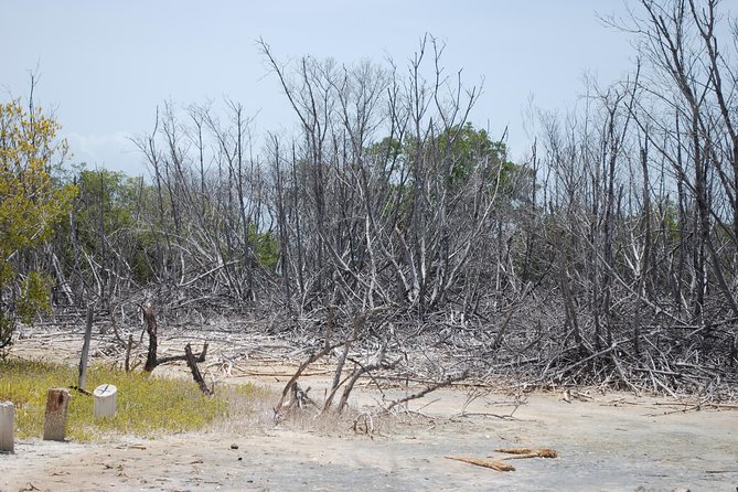 West Side Experience Puerto Rico Day Tour - Refund Policy and Customer Service