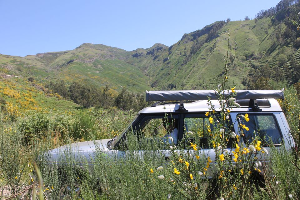West Tour Full Day 4x4 Jipe Tour Natural Swimming Pools - Pricing and Duration