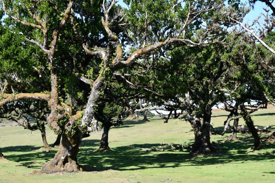 West Tour Madeira by Overland - Important Information