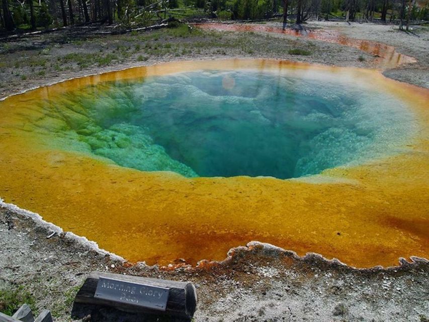 West Yellowstone: Yellowstone Day Tour Including Entry Fee - Key Stops