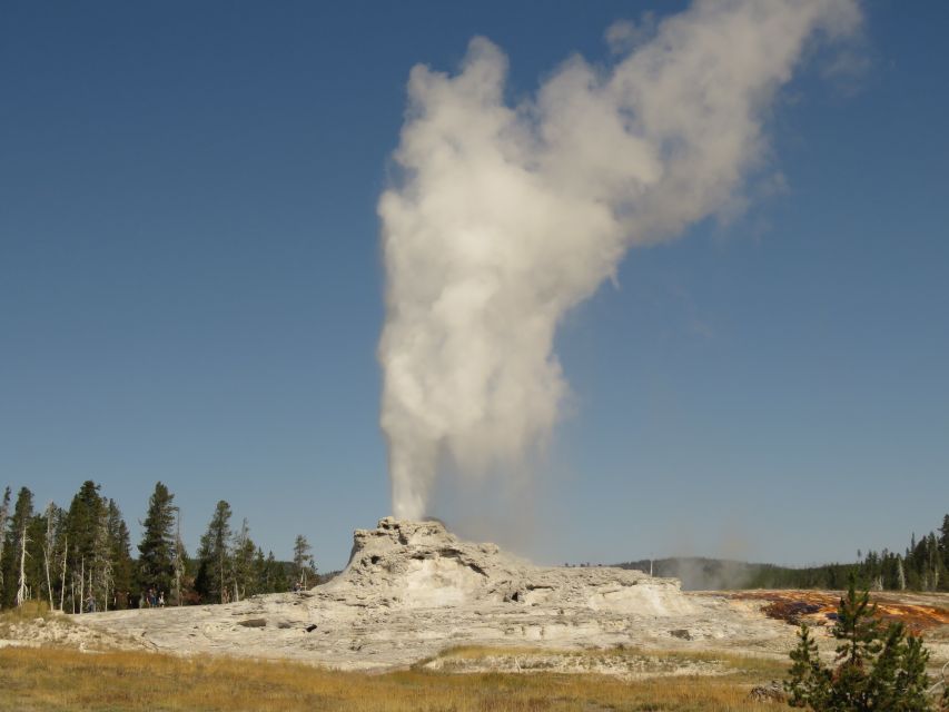 West Yellowstone: Yellowstone Day Tour Including Entry Fee - Customization Options