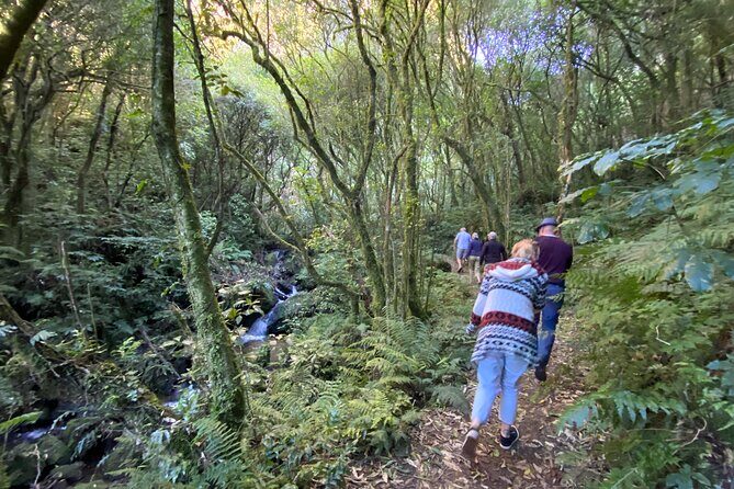 Western Bays Sightseeing Tour from Kinloch Lake Taupo - What to Expect on the Tour