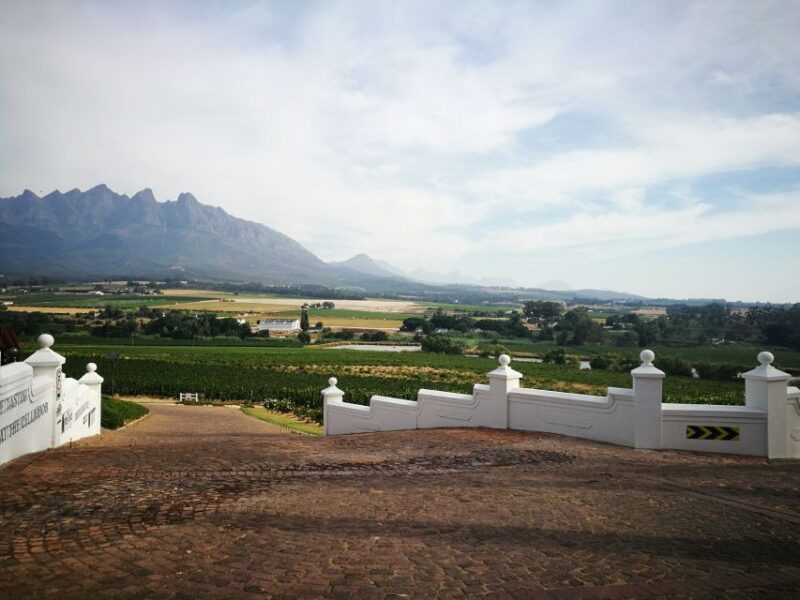 Western Cape: Winelands Tasting and Cellar Tour With Guide - Pricing Details