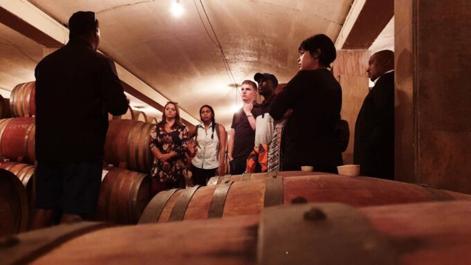 Western Cape: Winelands Tasting and Cellar Tour With Guide - Pickup and Participation