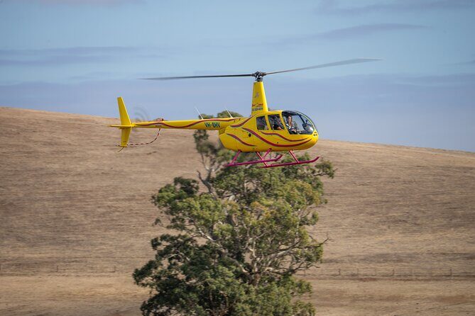 Western Ridge & Valley Floor: 20-Minute Helicopter Flight - Who Should Consider This Tour?