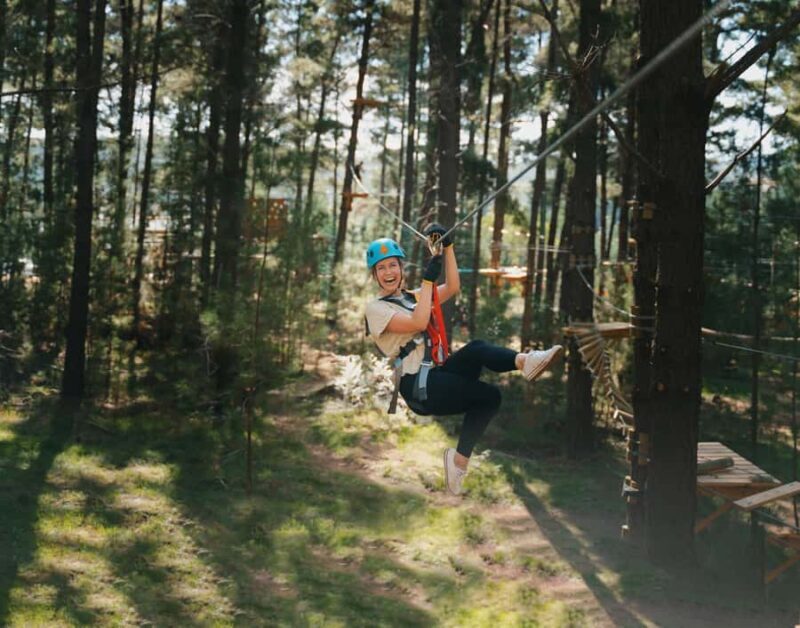 Western Sydney: Tree Ropes Courses - Key Points