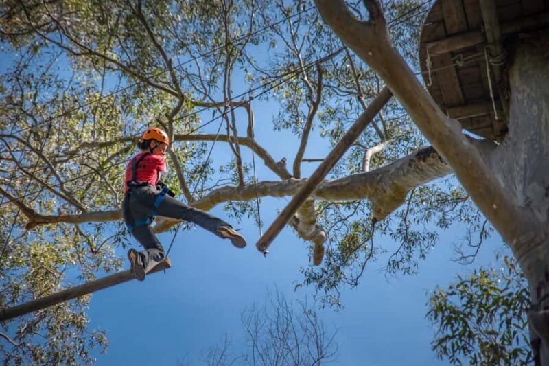 Western Sydney: Tree Ropes Courses - The Sum Up