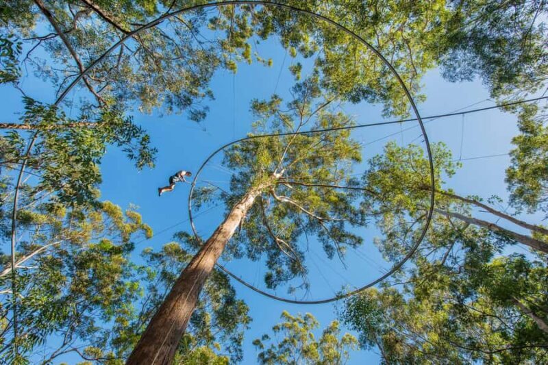 Western Sydney: Zipcoaster Experience - Who Should Consider This Experience?