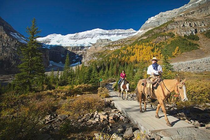 Western Trails - One Way Vancouver To Calgary Rockies Bus Tour - Inclusions
