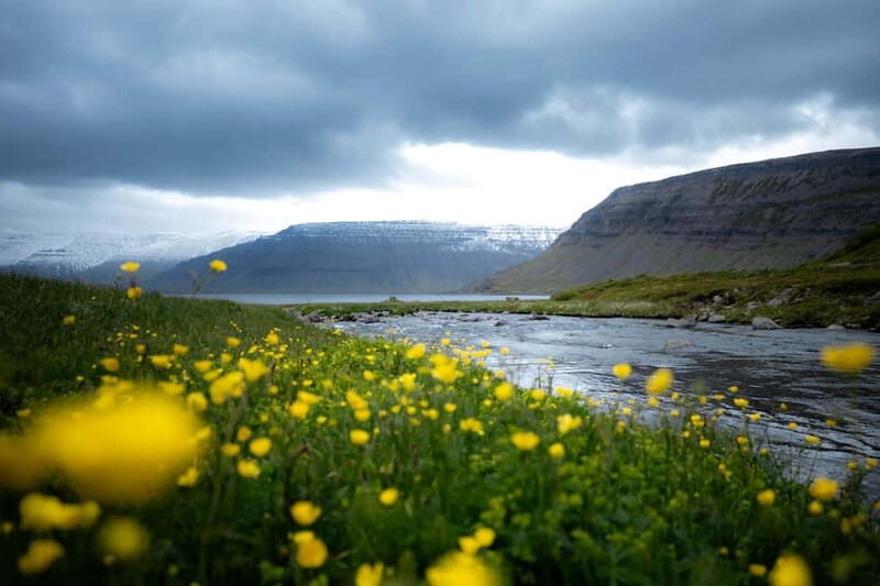 Westfjords Express Tour of Fishing Villages from Ísafjörður - The Whole Picture: A Complete Breakdown