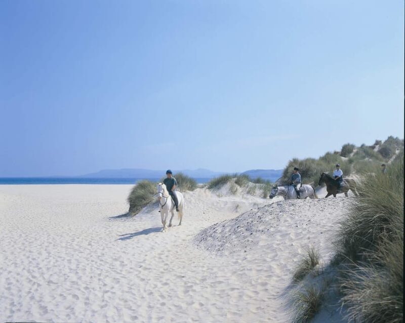 Westport: Beach and Countryside Guided Horse Ride - Key Points