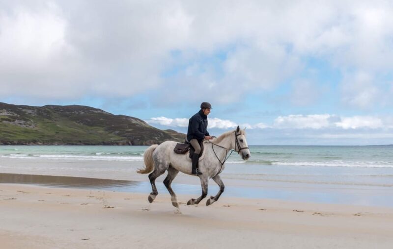 Westport: Beach and Countryside Guided Horse Ride - A Thorough Look at the Westport Horse Ride Experience