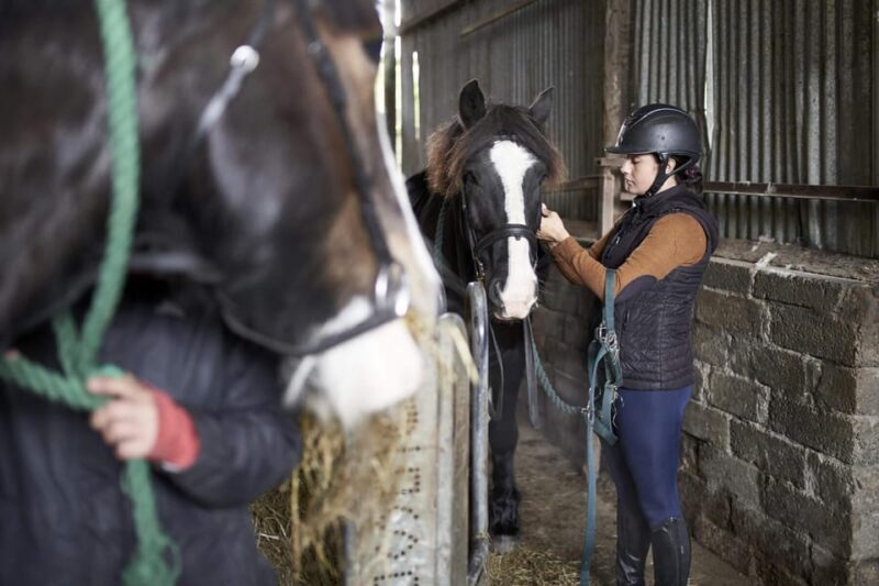 Westport: Beach and Countryside Guided Horse Ride - Frequently Asked Questions (FAQs)