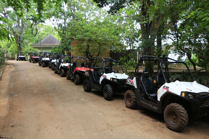 Wet n Dirty ATV Outback Adventure From Ocho Rios - Who Will Love This Tour?