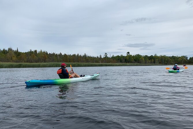 Wetlands Kayak Tour - Whats Included in the Tour
