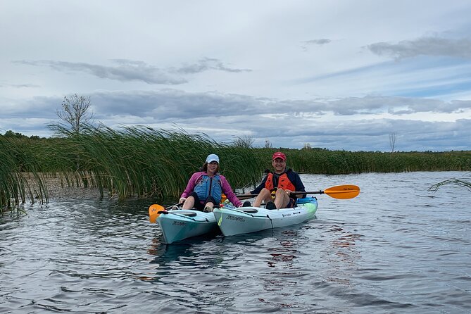 Wetlands Kayak Tour - Preparation and Requirements