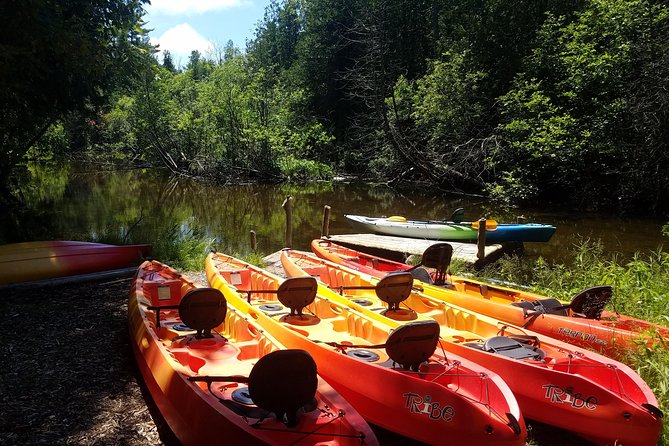 Wetlands Kayak Tour - Booking and Confirmation Process
