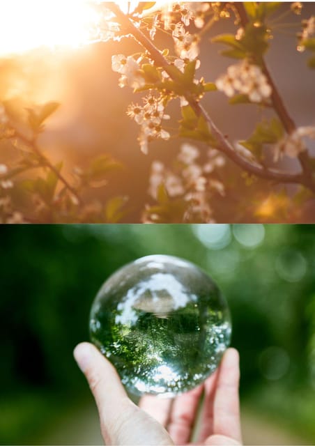 Wexford: A Mindful Retreat Forest Bathing & Nature Therapy - An Authentic Irish Blend of Mindfulness and Nature