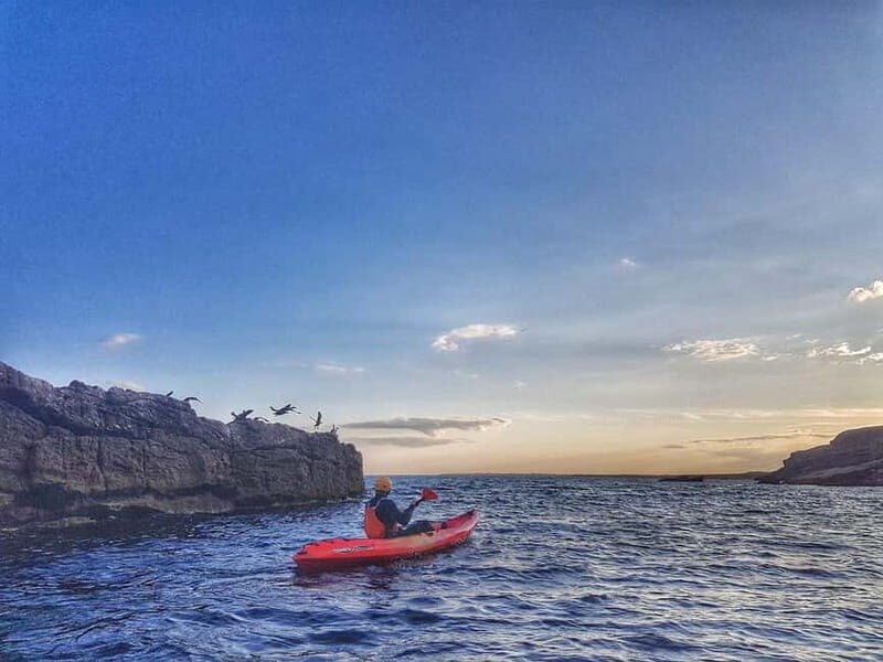 Wexford: Sunset Kayaking Experience - Key Points