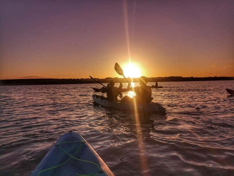 Wexford: Sunset Kayaking Experience - The Practicalities