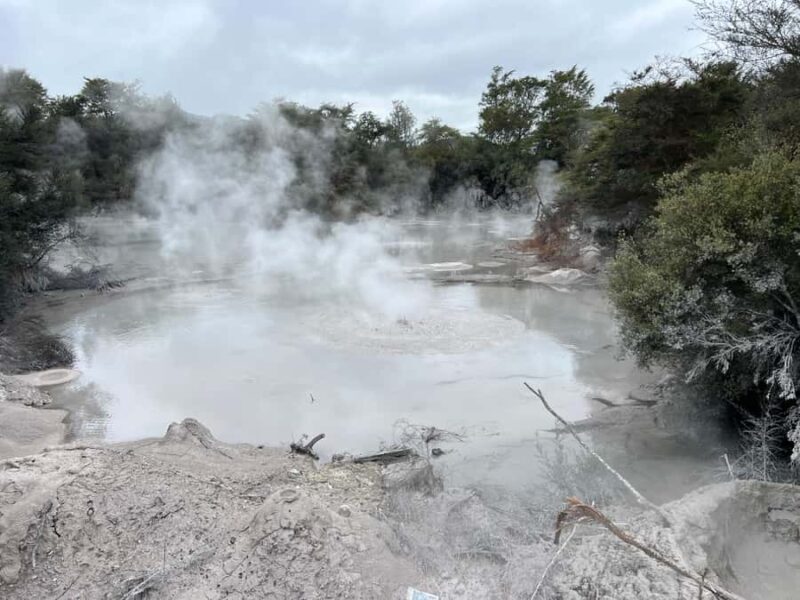 WHAKAREWAREWA - The Living Maori Village - Group Tour Ex AKL - The Sum Up