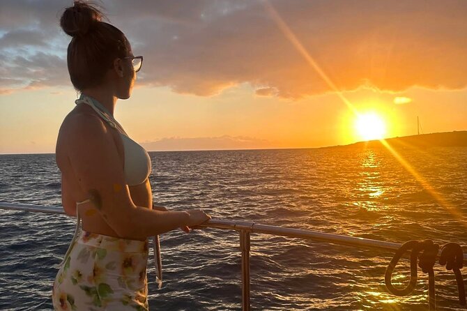 Whale and Dolphin Watching Catamaran With Transfer and Buffet - Inclusions