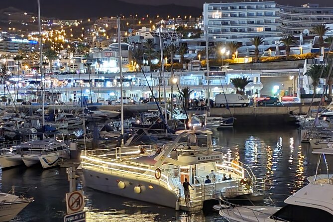 Whale and Dolphin Watching Catamaran With Transfer and Buffet - Recap