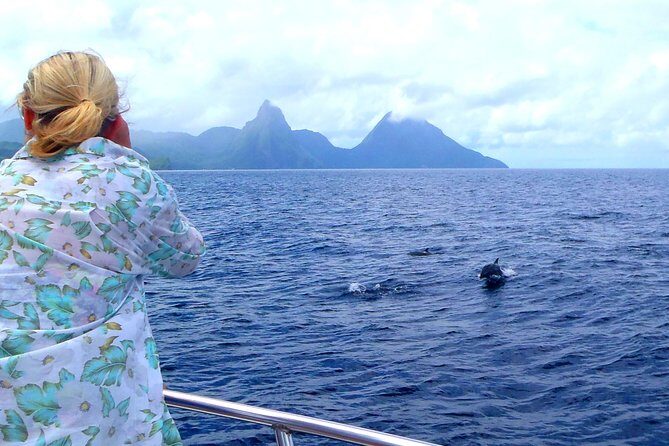 Whale and Dolphin Watching Cruise in St Lucia - FAQs