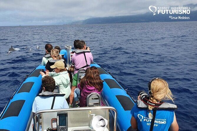 Whale and dolphin watching in Pico Island - The Experience: What to Expect on Your Pico Whale Watching Tour