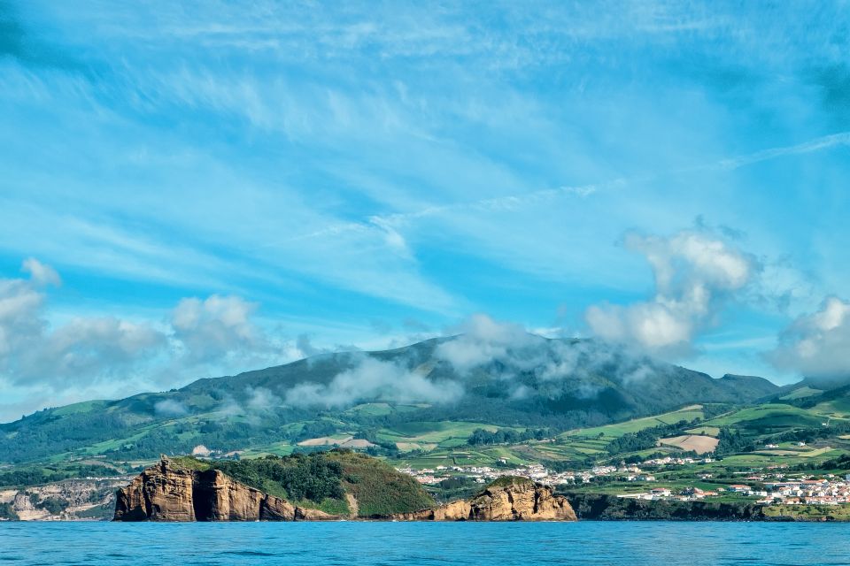 Whale and Dolphin Watching With Vila Franca Islet Visit - Highlights and Inclusions
