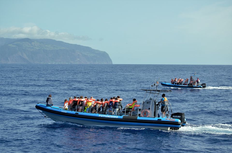 Whale and Dolphin Watching With Vila Franca Islet Visit - Getting to Futurismo Azores