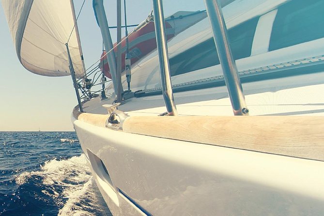 Whale and Dolphin Watching Yacht Trip in Puerto Colon - Additional Information