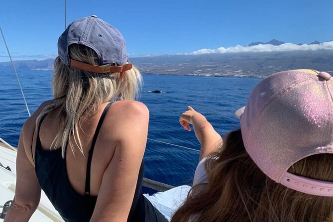 Whale and Dolphin Watching Yacht Trip in Puerto Colon - Customer Testimonials