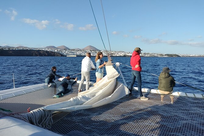 Whale & Dolphin Observation on Silent Catamaran With Hydrophone - Convenient Meeting Point and Parking