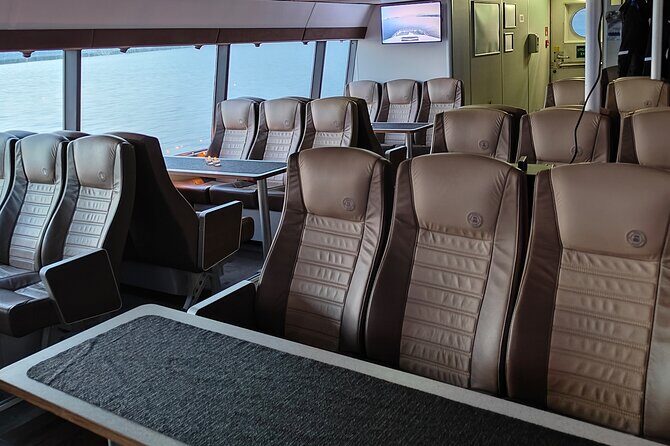 Whale Safari in Tromso - Key Points