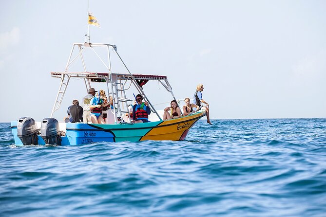 Whale Shark and Snorkeling Adventure From Isla Holbox - Customer Feedback and Experiences