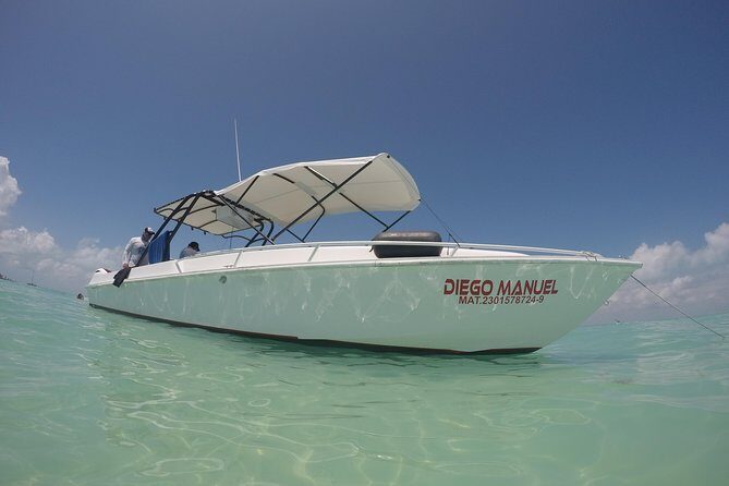 Whale shark encounter Private tour - swim with whale shark cancun - Final Thoughts: Is This Tour Worth It?