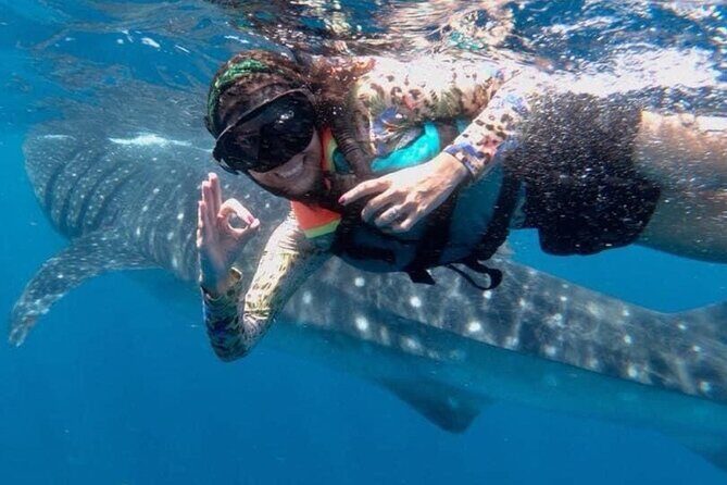 Whale shark Experience in the Caribbean Sea from Playa del Carmen - An In-Depth Look at the Experience