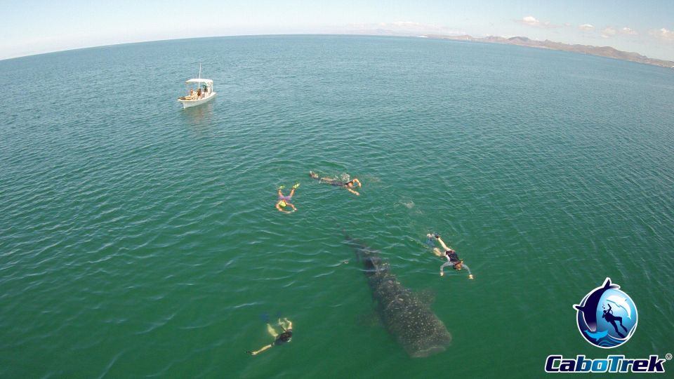 Whale Shark Experience - Inclusive Tour Amenities