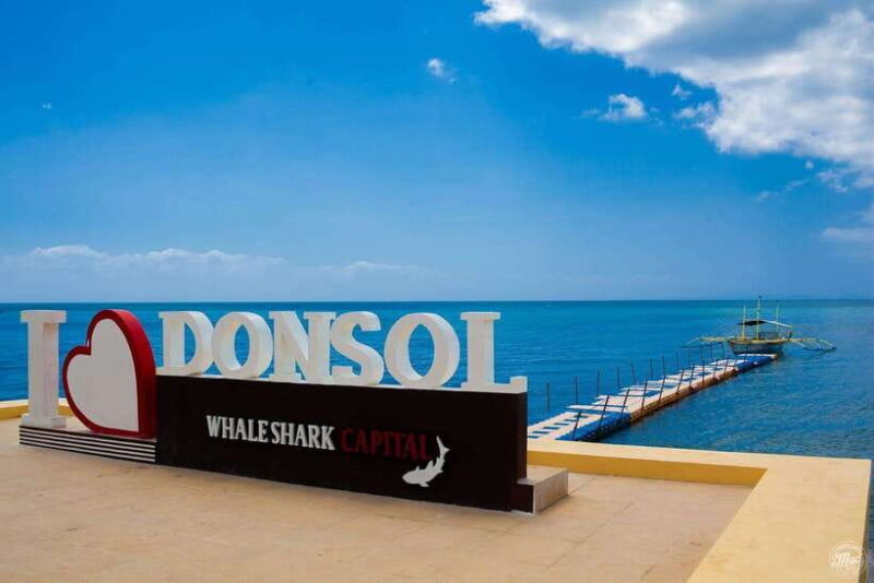 Whale Shark Interaction at Donsol Sorsogon by ZCHEDULISTA - Key Points