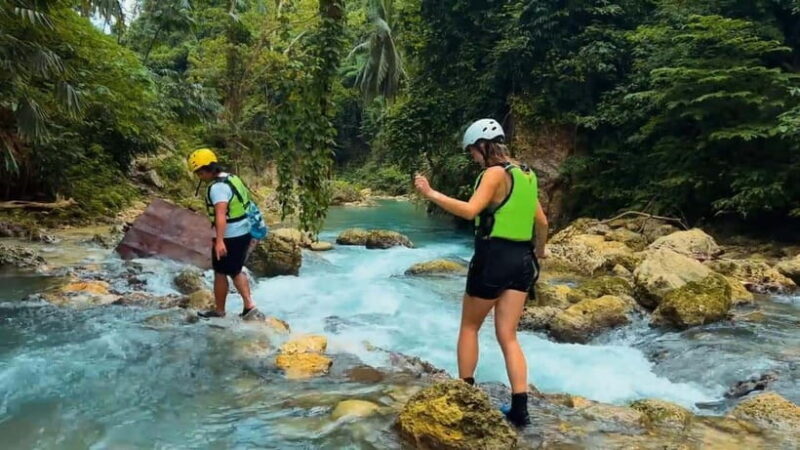 Whale Shark & Kawasan Canyoneering: Private & Joiner Tour - Key Points
