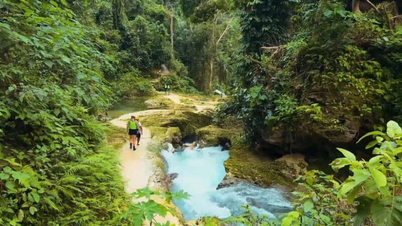 Whale Shark & Kawasan Canyoneering: Private & Joiner Tour - The Sum Up: Is This Tour Right for You?
