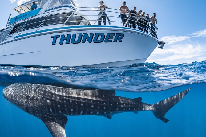 Whale Shark Safari - Tour Itinerary