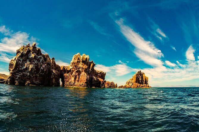 Whale Shark & Sea Lion Snorkeling Picnic at Espiritu Santo Island - The Experience: Pros and Cons from Reviews