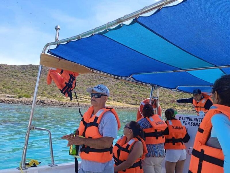 Whale Shark Swim, La Paz, and Todos Santos Day Trip - FAQ