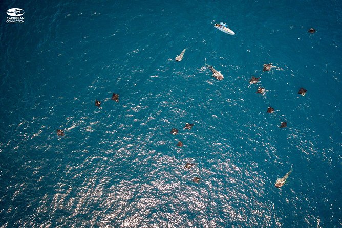Whale Shark Swimming and Isla Mujeres Beach Tour - Isla Mujeres Beach Stop