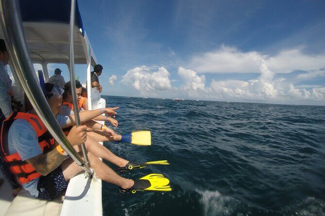 Whale Shark Tour Isla Mujeres - An In-Depth Look at the Tour Experience